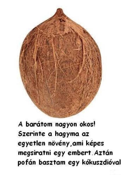 Beküldött okosság