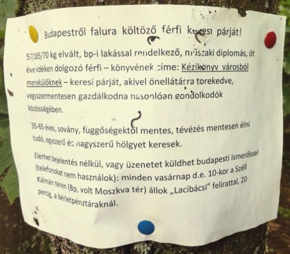 Napiszar - Társkereső rovat