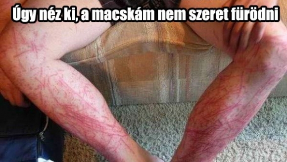 Én is úgy látom . . .