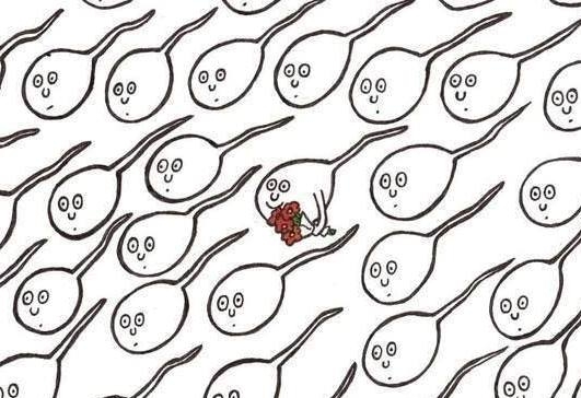 Úriembernek születni kell . . .