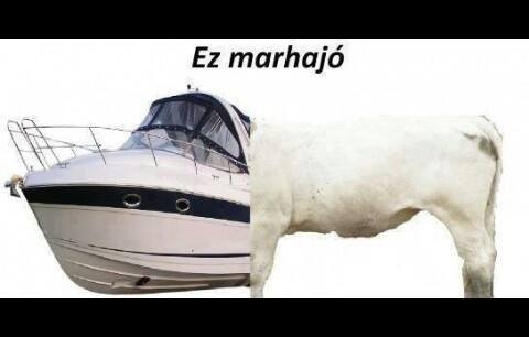 Hét eleji pihentető