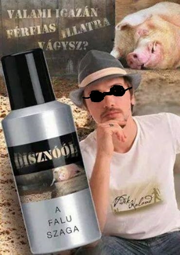 Egy visszautasíthatatlan ajánlat a pasiknak