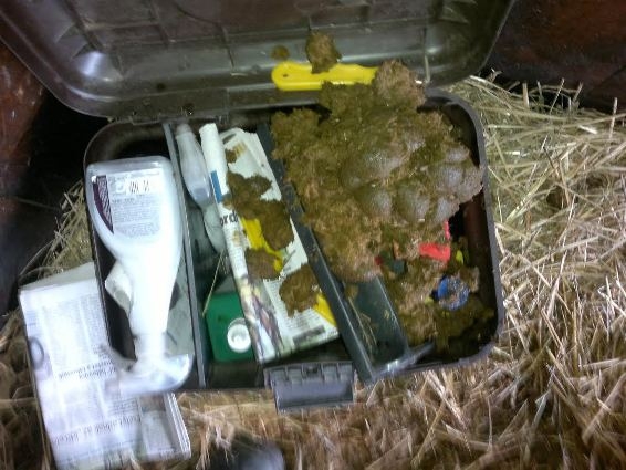 Napiszar 2014 - A bosszú