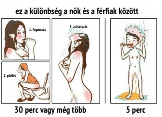 Napi tényfeltáró