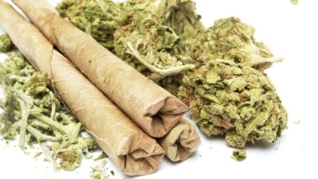 Mítoszok és tények a fűlegalizációról