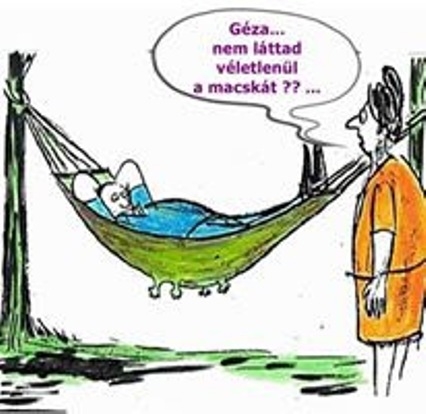 Cirmit kilapították