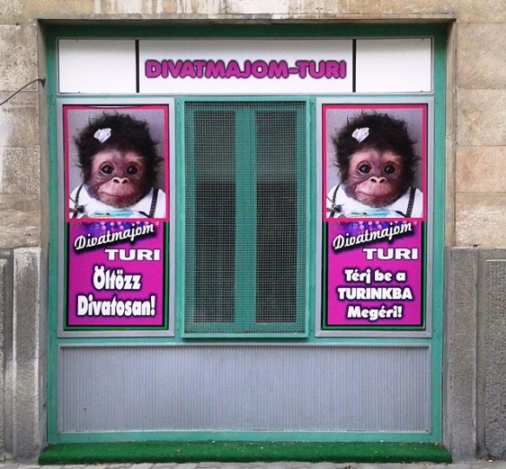 Egy igazán csábító ajánlat