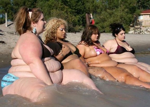 Vízi tündérek - ősszel eltűnnek....