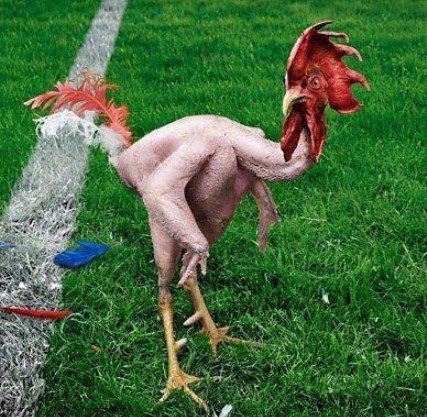 Befizettem a csekkeket...