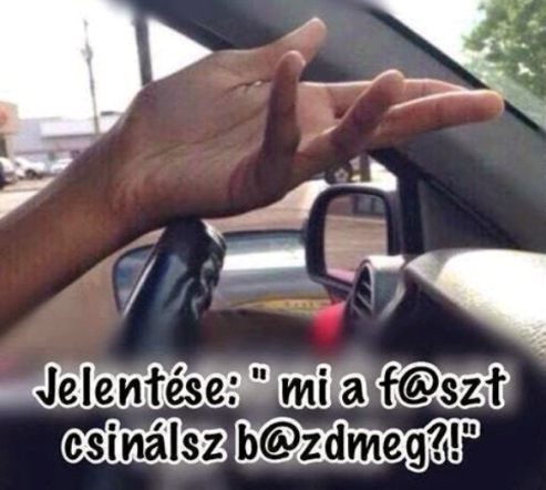 Nemzetközileg elfogadott kézjelzés