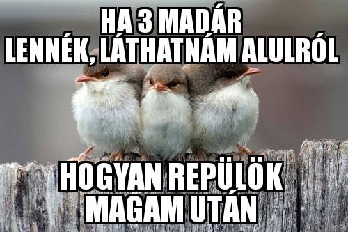 Napi elgondolkodtató