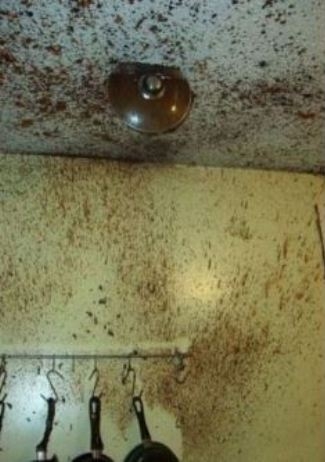 A konyhafőnök mai ajánlata