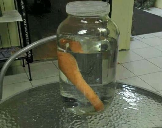 Tavalyi hóember eladó