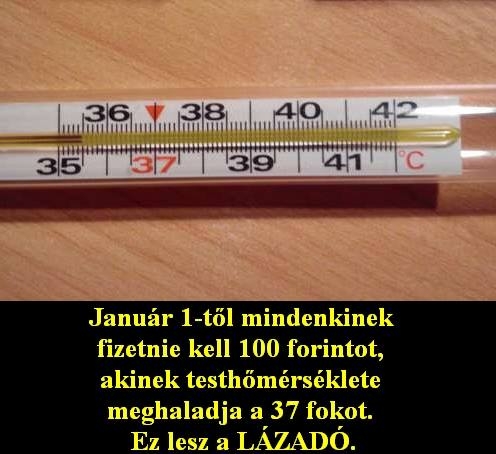 Bármi megtörténhet...
