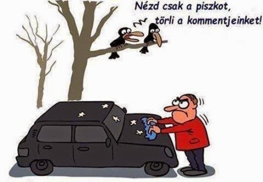 Dolgozik a moderátor
