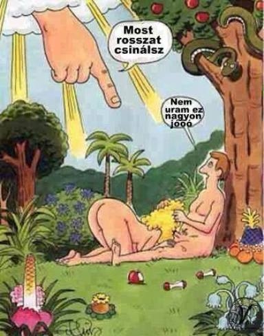 Paradicsomi örömök