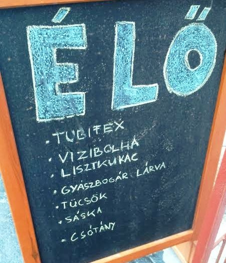 Csabi küldte nekünk a mai ebédajánlatot