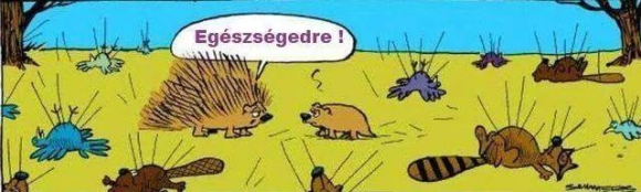 Megfázás - elő a vitaminokkal, míg nem késő...