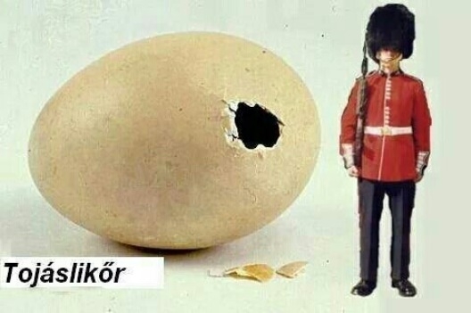 Keddi agyzsibbasztó