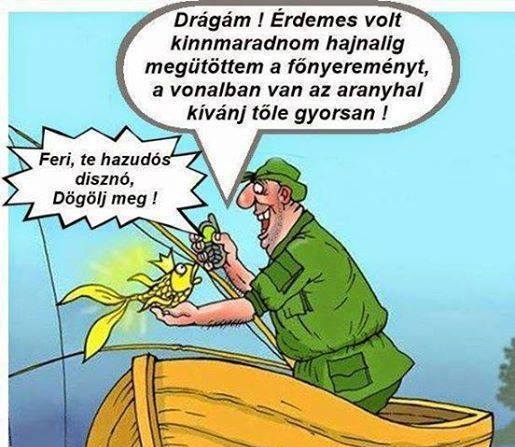 Nesze neked kívánság