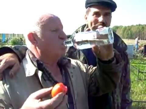 Számítástechnikai kisokos