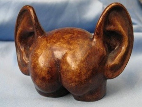 Napi definíció - Seggfej