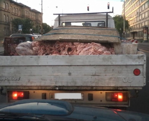 Higiénia - szeretem