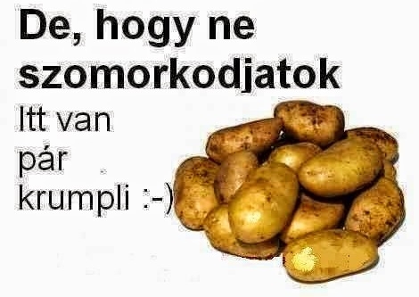 Nincs profilképem...