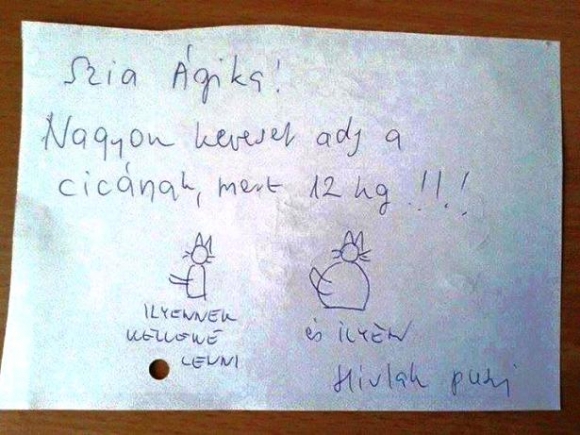 Elhízott a házi kedvenc