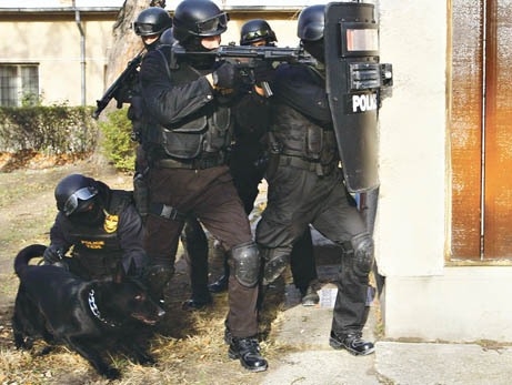 Sándor, József, Bemegyek!