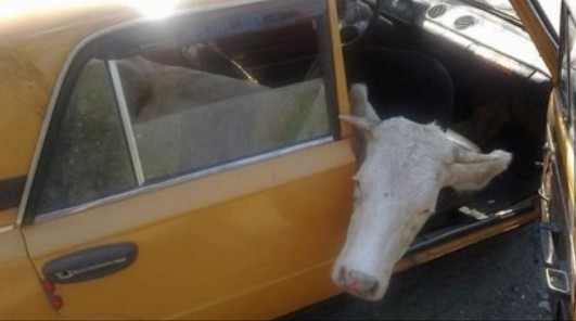 Most nincs időm elmagyarázni!