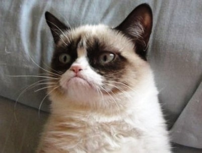 Látszik apád fazekas volt...