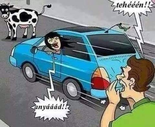 Pedig csak jót akart...