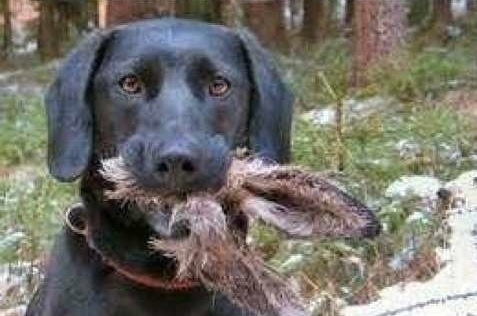 Idén sajnos kegyeleti okoból elmarad a húsvét