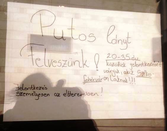 Álláshirdetés