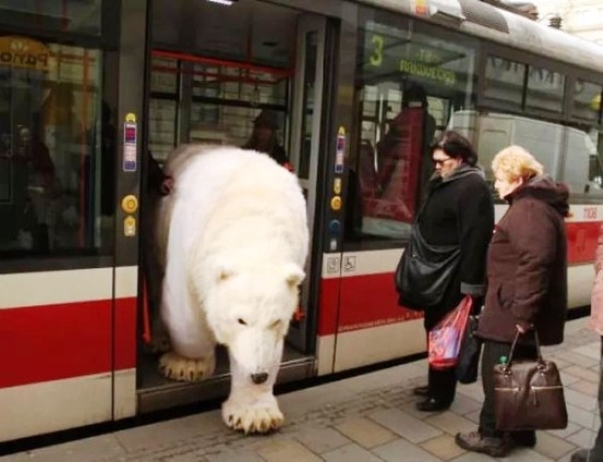 Elég jeges lehetett a hangulat