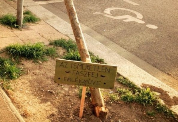 Emléket állítottak neki