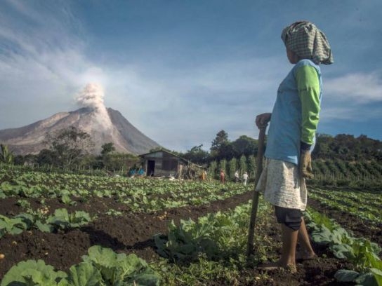 A szopás az, amikor...