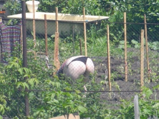 Napi definíció - Bio trágyaszoró
