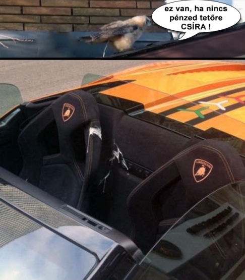 Csoki bácsi megmondta előre...