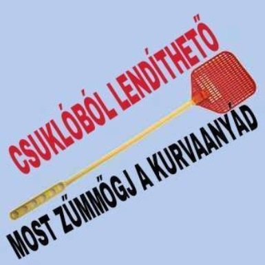 Hagyományos műanyag kézi légycsapó