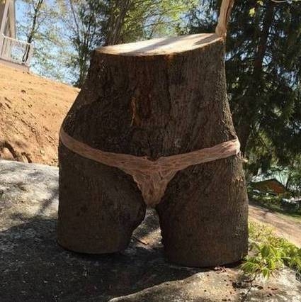 Definíció - fapina