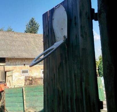 Kosármeccs délután?