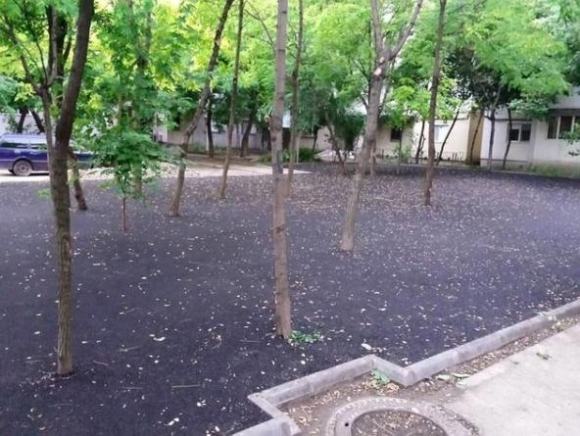 Romániában újraírták a zöldövezet fogalmát...