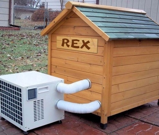 Kutya meleg lesz ma is