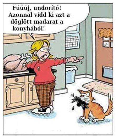 Eközben a konyhában