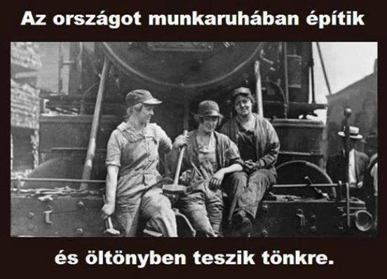 Napi tényfeltáró 🙁