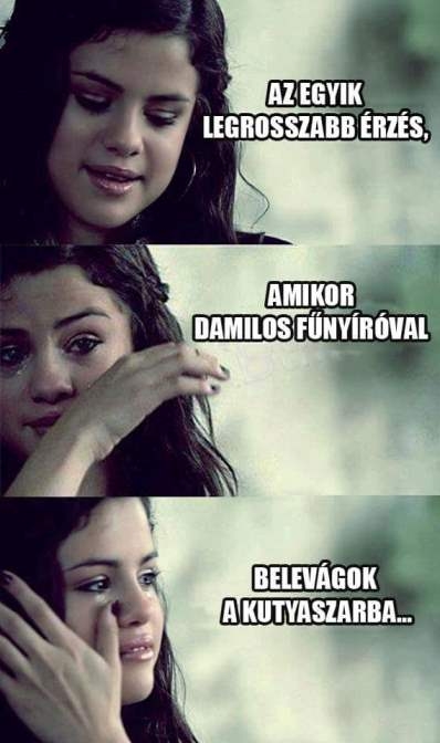 Egy kis délutáni meló