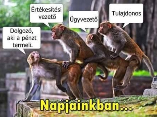 Napi tényfeltáró