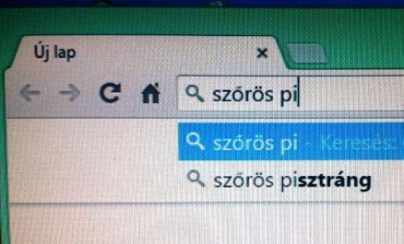 Szőrös pi